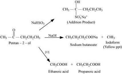 NCERT Solutions Class 12 Chemistry Chapter 8 - Aldehydes, Ketones & Carboxylic Acids